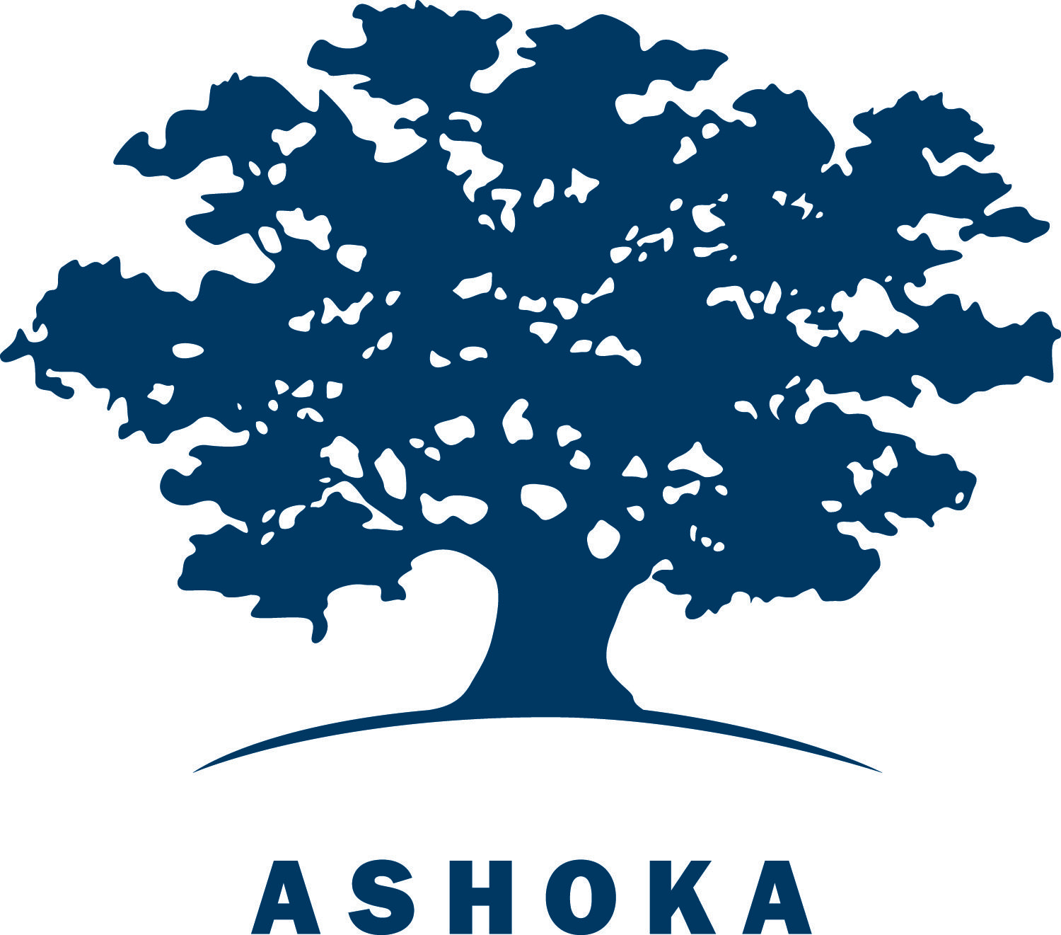 logo Ashoka HD 09.05