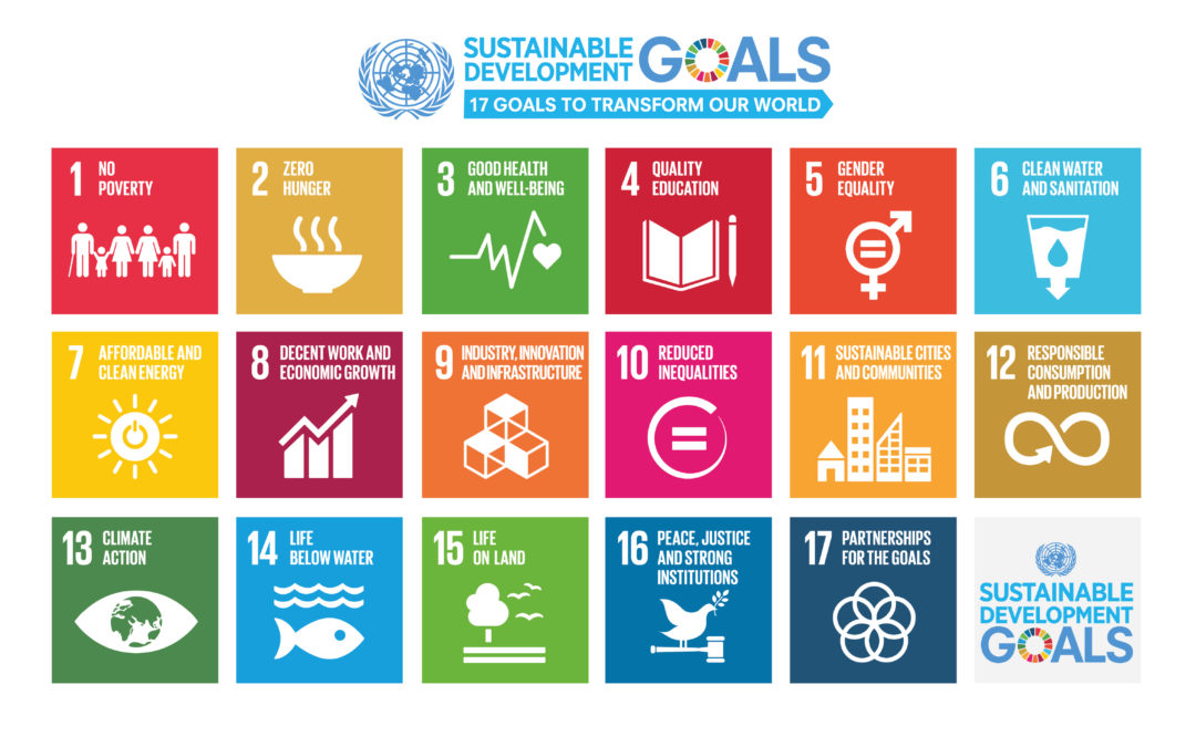 What if sustainability was equality? The fight against inequality: cornerstone for implementing the 2030 Agenda