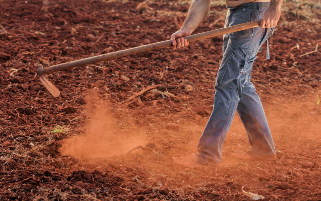 Au Nicaragua, Financiera FDL contribue à la diffusion de l’agroécologie