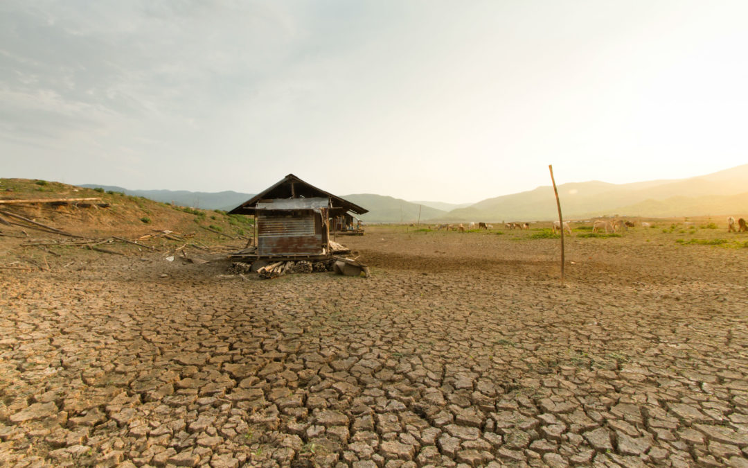 (Micro)financement de la résilience : aider les clients à s’adapter au changement climatique