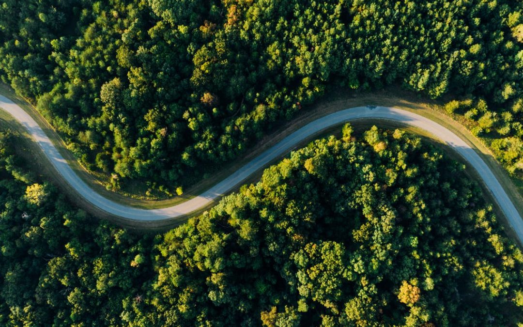 Les ODD, feuille de route du monde de demain ?