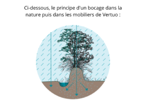 Ci-dessous, le principe d'un bocage dans la nature puis dans les mobiliers de Vertuo