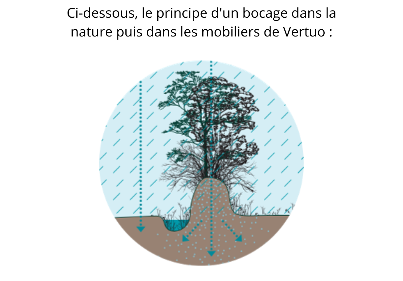 Ci-dessous, le principe d'un bocage dans la nature puis dans les mobiliers de Vertuo