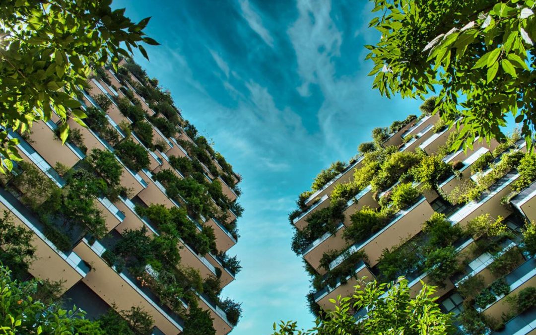 Merci Raymond et Vertuo – Ces initiatives qui rendent nos villes plus écologiques et résilientes