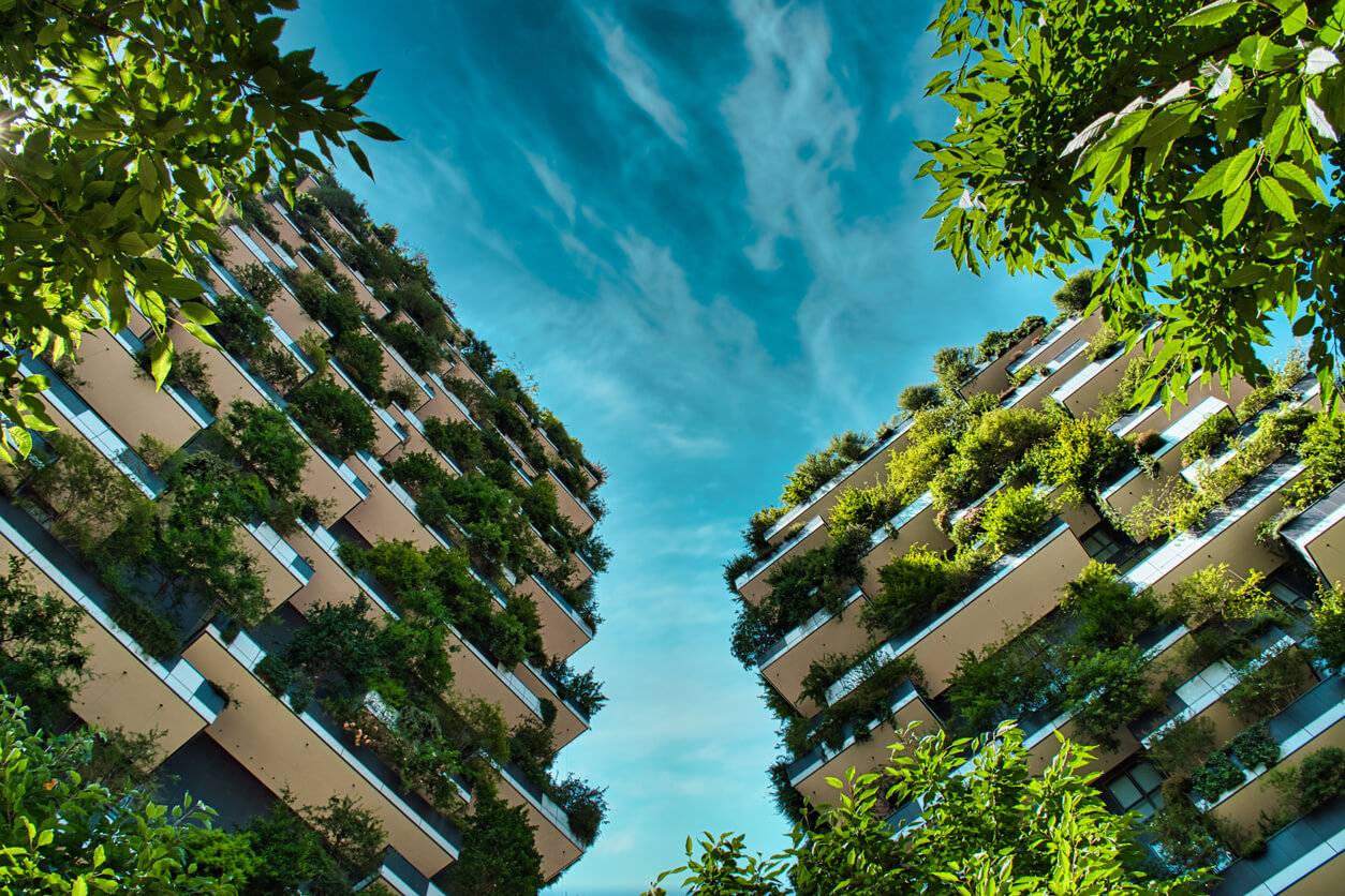 l-ecologie-urbaine-un-pari-d-avenir-pour-la-biodiversite-istock-com-balazs-sebok-226-1623858214