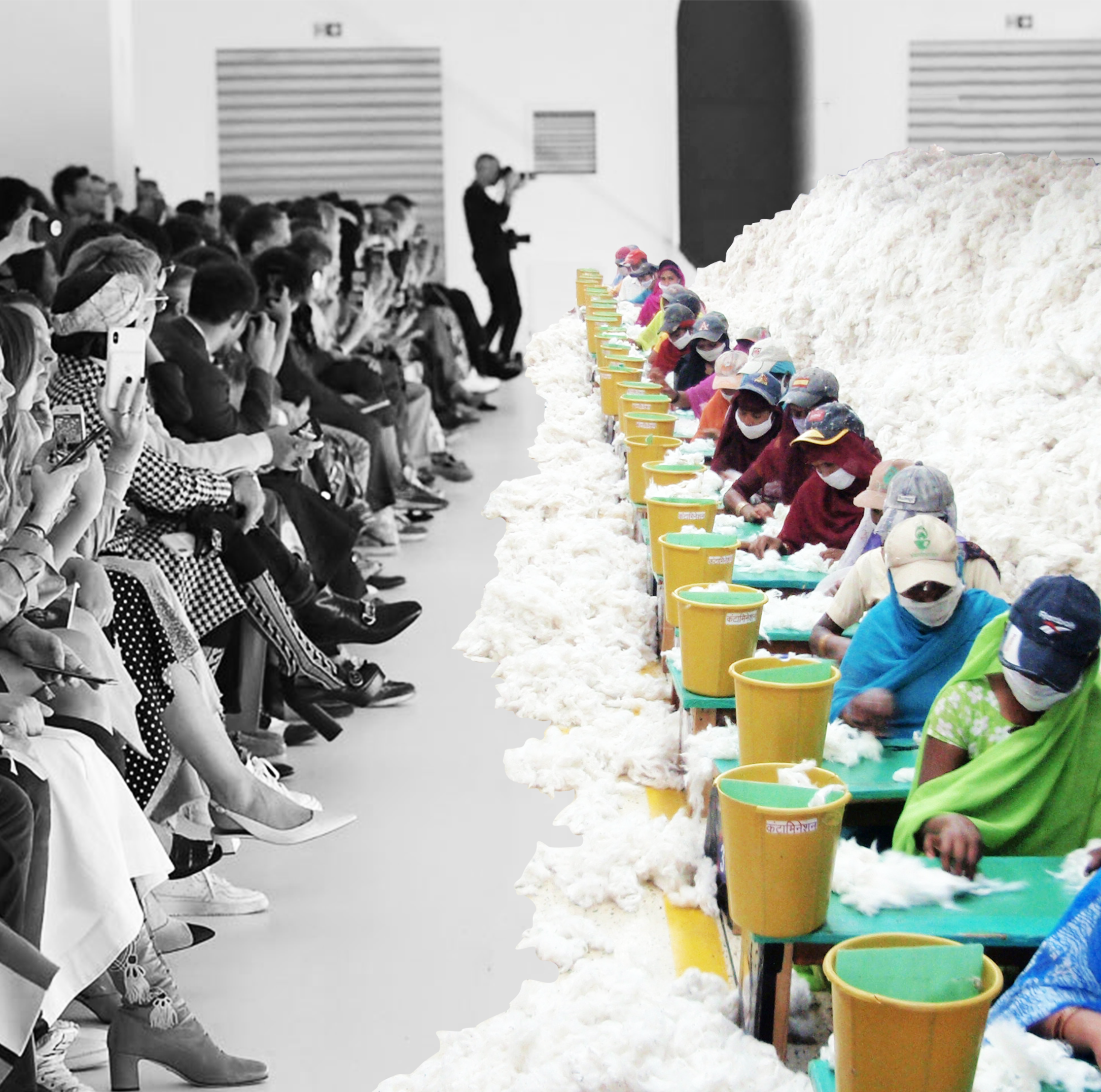 CottonCatwalk